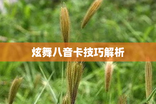 炫舞八音卡技巧解析图片