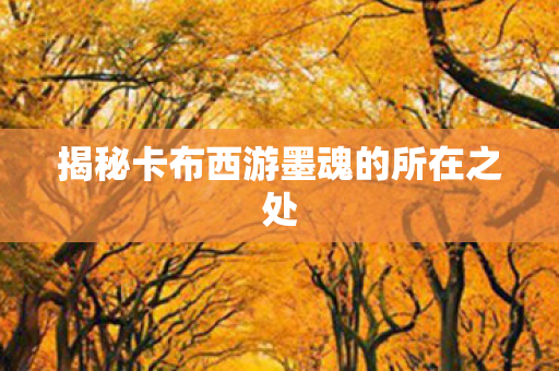 揭秘卡布西游墨魂的所在之处图片