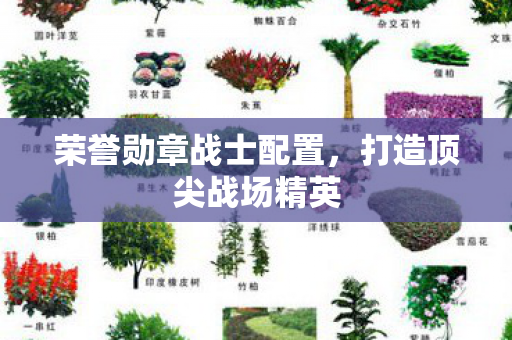 荣誉勋章战士配置图片