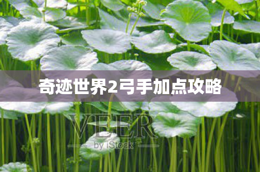 奇迹世界2弓手加点攻略图片