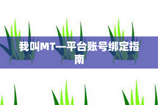 平台账号绑定指南图片