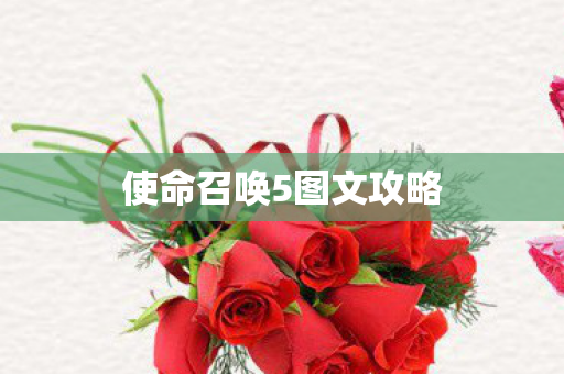 使命召唤5图文攻略图片