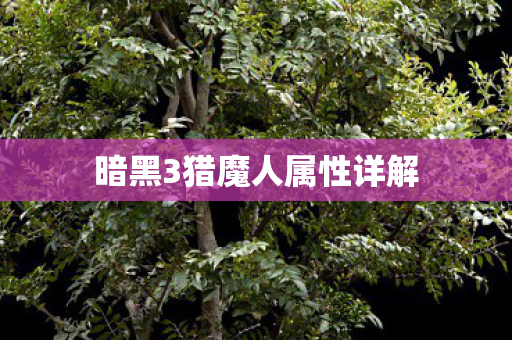 暗黑3猎魔人属性详解图片