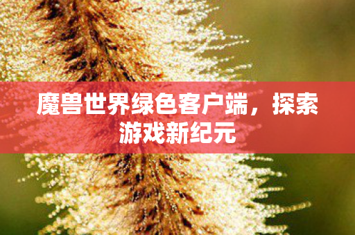 魔兽世界绿色客户端图片