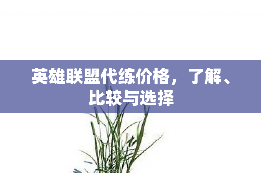 英雄联盟代练价格图片