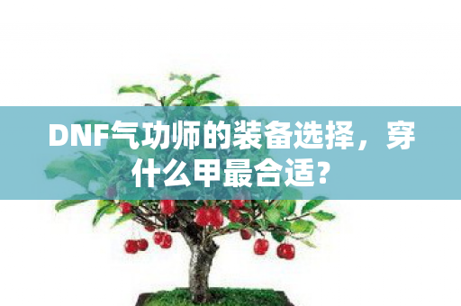 DNF气功师的装备选择图片