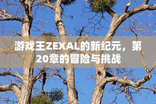 游戏王ZEXAL的新纪元图片