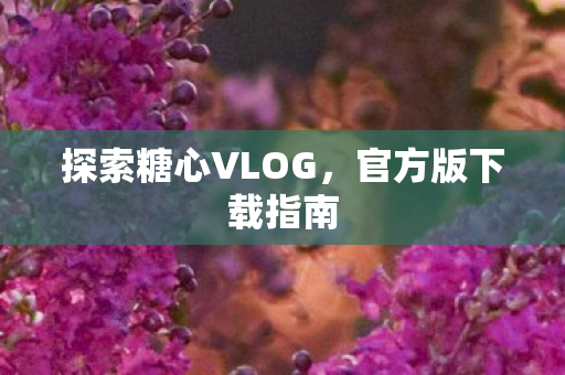 探索糖心VLOG图片
