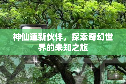 探索奇幻世界的未知之旅图片