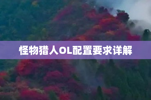 怪物猎人OL配置要求详解图片