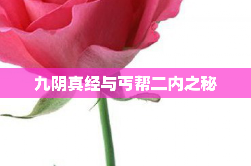 九阴真经与丐帮二内之秘图片