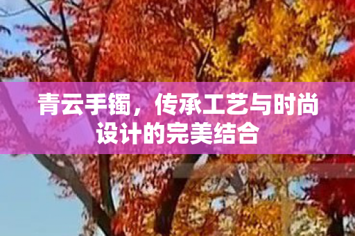 传承工艺与时尚设计的完美结合图片