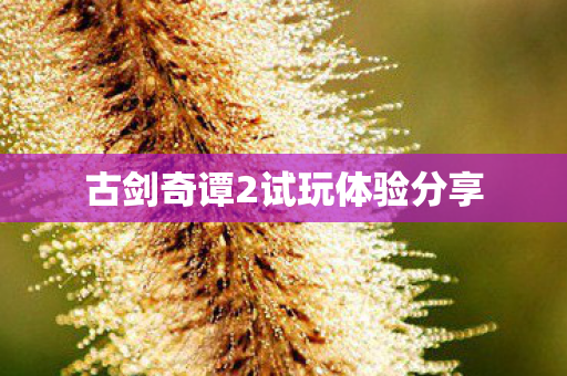 古剑奇谭2试玩体验分享图片