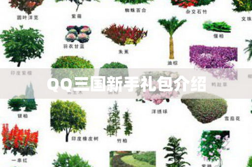 QQ三国新手礼包介绍图片