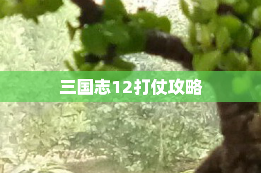 三国志12打仗攻略图片