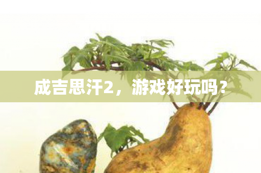 成吉思汗2图片