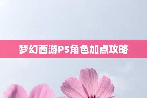 梦幻西游PS角色加点攻略图片
