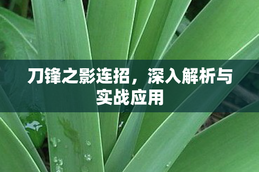深入解析与实战应用图片