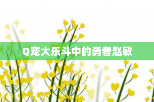 Q宠大乐斗中的勇者赵敏图片