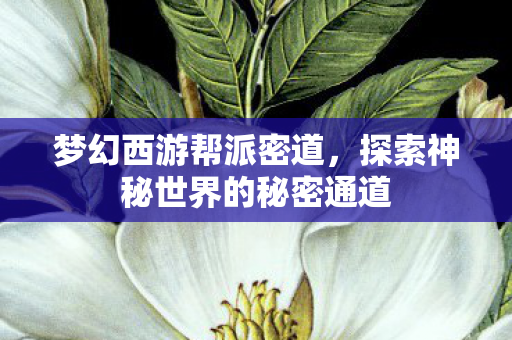 探索神秘世界的秘密通道图片