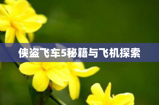 侠盗飞车5秘籍与飞机探索图片