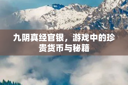 游戏中的珍贵货币与秘籍图片