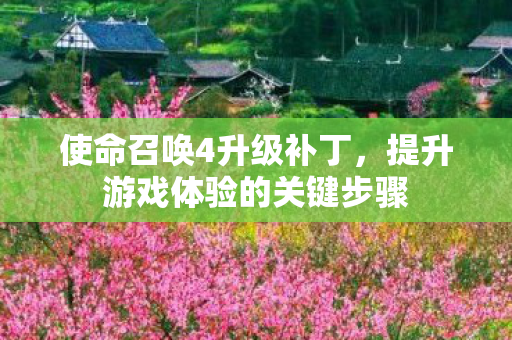 提升游戏体验的关键步骤图片