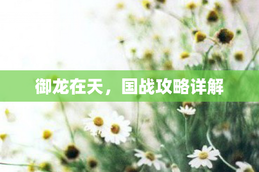 国战攻略详解图片