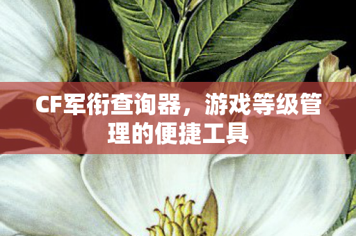 游戏等级管理的便捷工具图片