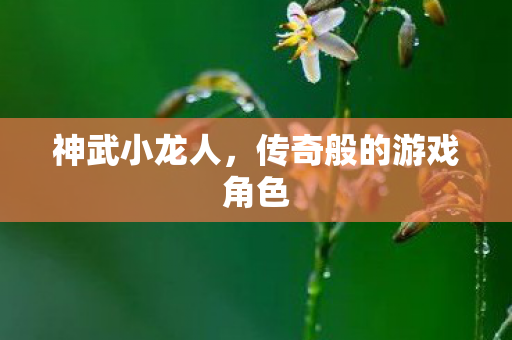 传奇般的游戏角色图片