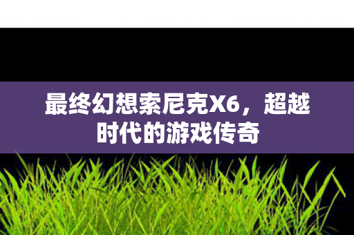 最终幻想索尼克X6图片