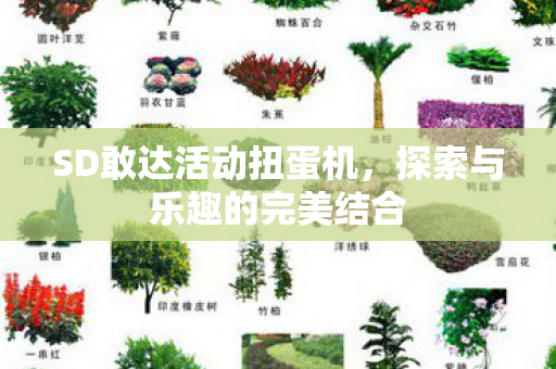 探索与乐趣的完美结合图片