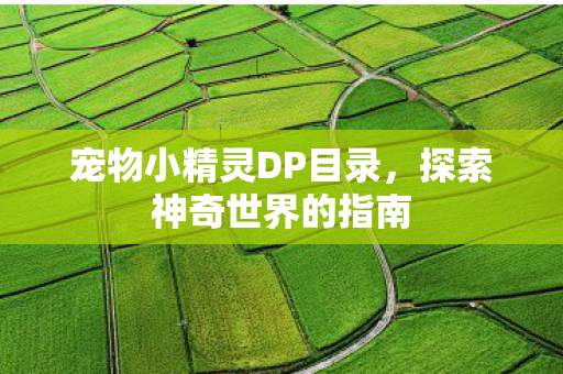 宠物小精灵DP目录图片