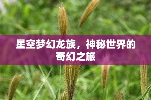 神秘世界的奇幻之旅图片