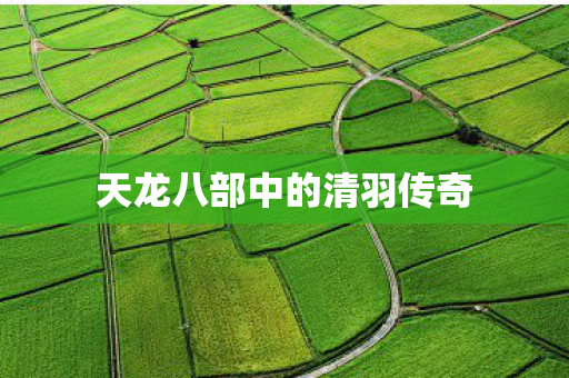 天龙八部中的清羽传奇图片