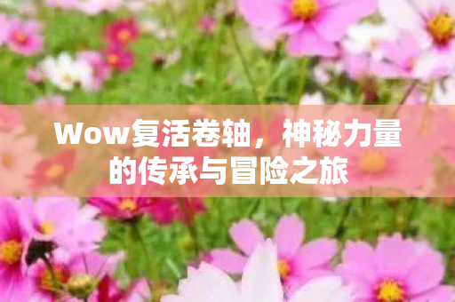 神秘力量的传承与冒险之旅图片