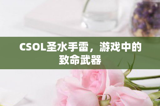CSOL圣水手雷图片