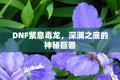 深渊之底的神秘巨兽图片