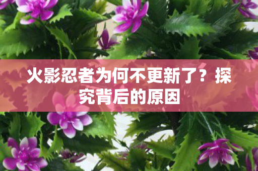 火影忍者为何不更新了图片