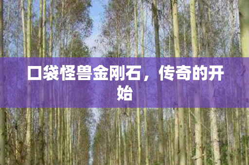 口袋怪兽金刚石图片