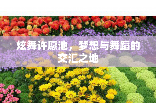 梦想与舞蹈的交汇之地图片