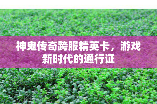 神鬼传奇跨服精英卡图片