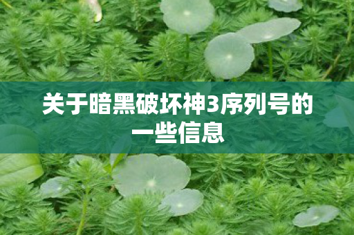 关于暗黑破坏神3序列号的一些信息图片