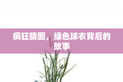 绿色球衣背后的故事图片