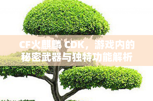 游戏内的秘密武器与独特功能解析图片