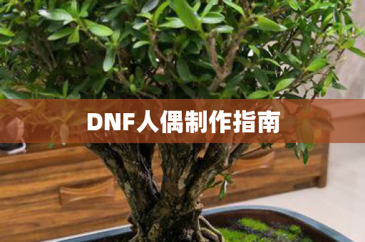 DNF人偶制作指南图片