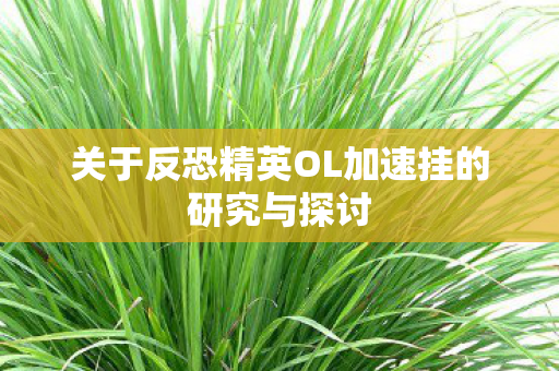 关于反恐精英OL加速挂的研究与探讨图片