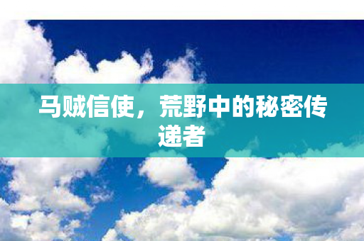 荒野中的秘密传递者图片