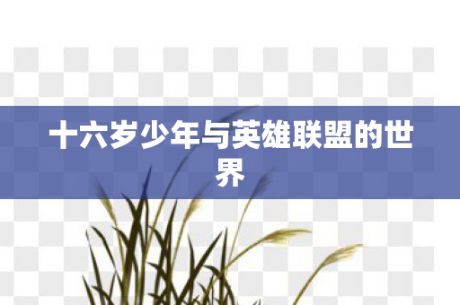 十六岁少年与英雄联盟的世界图片
