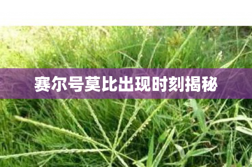 赛尔号莫比出现时刻揭秘图片